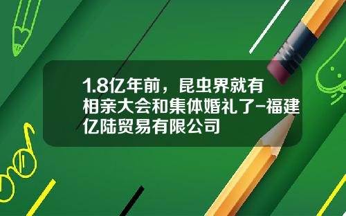 1.8亿年前，昆虫界就有相亲大会和集体婚礼了-福建亿陆贸易有限公司