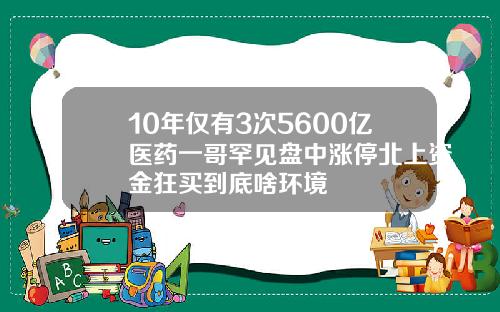 10年仅有3次5600亿医药一哥罕见盘中涨停北上资金狂买到底啥环境