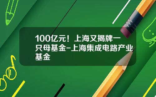 100亿元！上海又揭牌一只母基金-上海集成电路产业基金
