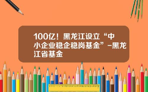 100亿！黑龙江设立“中小企业稳企稳岗基金”-黑龙江省基金