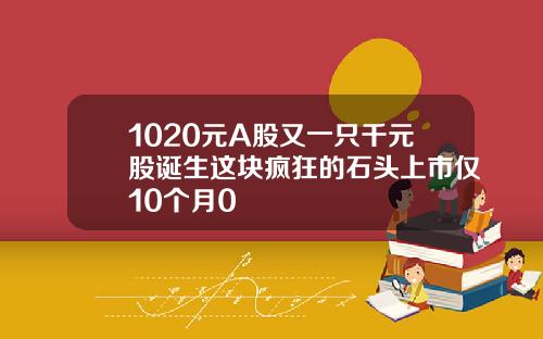 1020元A股又一只千元股诞生这块疯狂的石头上市仅10个月0