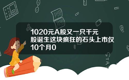 1020元A股又一只千元股诞生这块疯狂的石头上市仅10个月0
