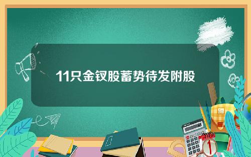 11只金钗股蓄势待发附股