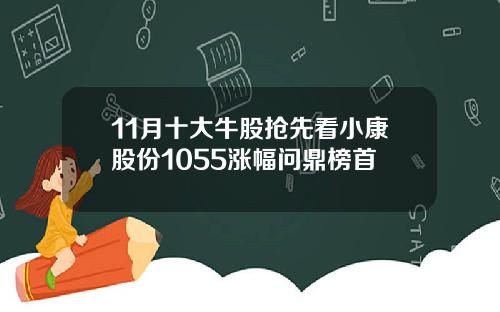 11月十大牛股抢先看小康股份1055涨幅问鼎榜首