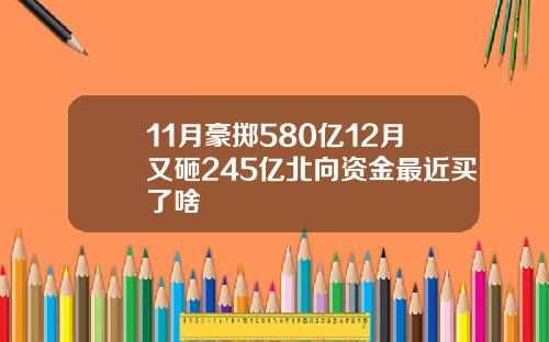 11月豪掷580亿12月又砸245亿北向资金最近买了啥