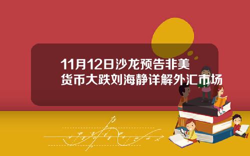 11月12日沙龙预告非美货币大跌刘海静详解外汇市场