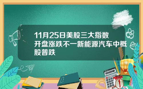 11月25日美股三大指数开盘涨跌不一新能源汽车中概股普跌