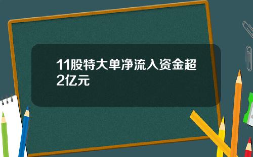 11股特大单净流入资金超2亿元