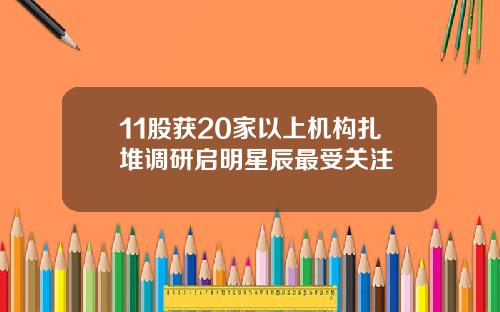 11股获20家以上机构扎堆调研启明星辰最受关注