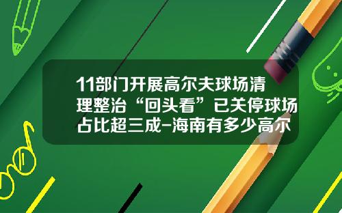 11部门开展高尔夫球场清理整治“回头看”已关停球场占比超三成-海南有多少高尔夫球场