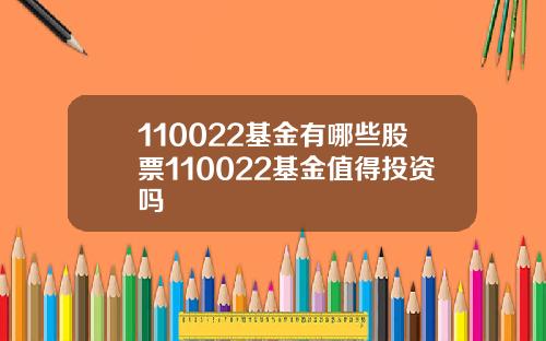 110022基金有哪些股票110022基金值得投资吗