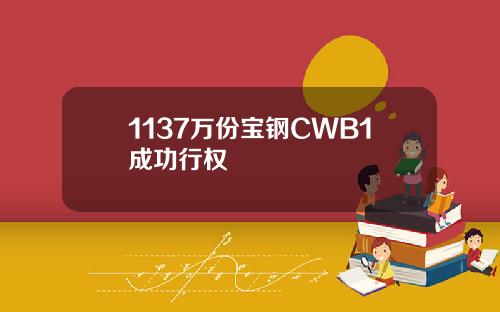 1137万份宝钢CWB1成功行权