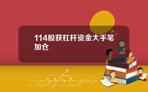 114股获杠杆资金大手笔加仓
