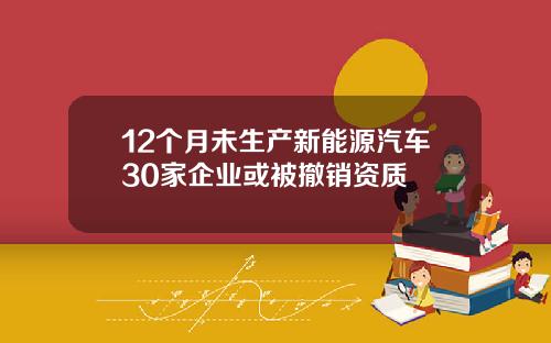 12个月未生产新能源汽车30家企业或被撤销资质