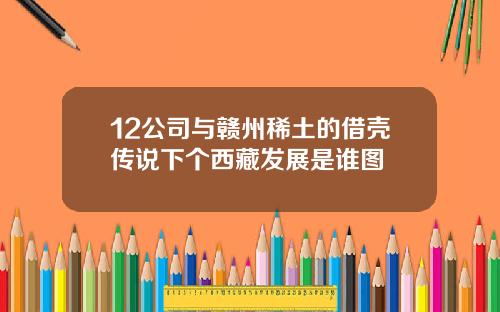 12公司与赣州稀土的借壳传说下个西藏发展是谁图