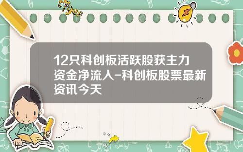 12只科创板活跃股获主力资金净流入-科创板股票最新资讯今天