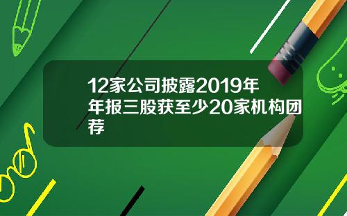 12家公司披露2019年年报三股获至少20家机构团荐