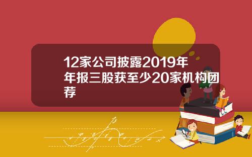 12家公司披露2019年年报三股获至少20家机构团荐