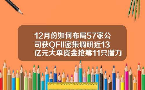 12月份如何布局57家公司获QFII密集调研近13亿元大单资金抢筹11只潜力股