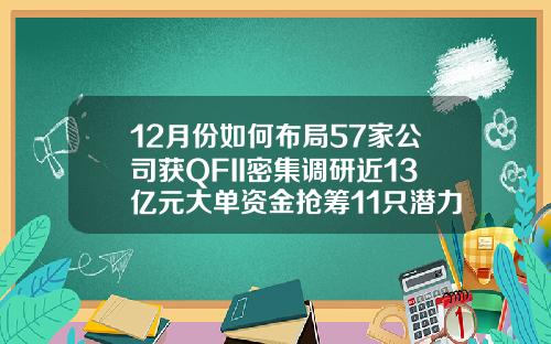 12月份如何布局57家公司获QFII密集调研近13亿元大单资金抢筹11只潜力股