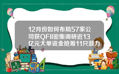 12月份如何布局57家公司获QFII密集调研近13亿元大单资金抢筹11只潜力股