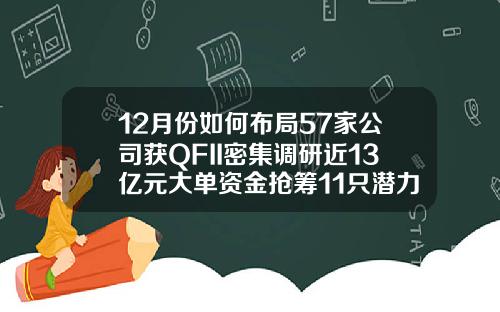 12月份如何布局57家公司获QFII密集调研近13亿元大单资金抢筹11只潜力股