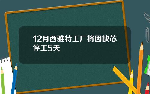 12月西雅特工厂将因缺芯停工5天