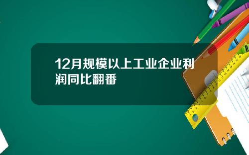 12月规模以上工业企业利润同比翻番