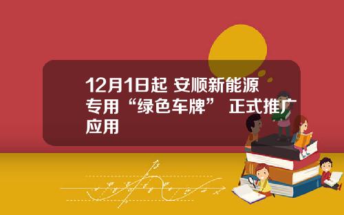 12月1日起 安顺新能源专用“绿色车牌” 正式推广应用