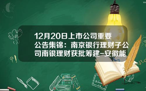 12月20日上市公司重要公告集锦：南京银行理财子公司南银理财获批筹建-安徽能源集团有限公司方平