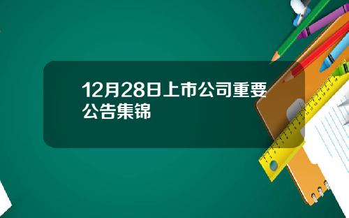 12月28日上市公司重要公告集锦