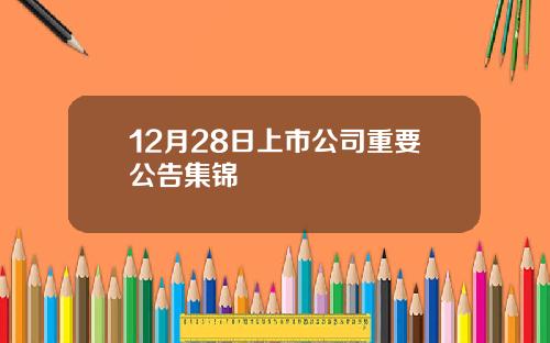 12月28日上市公司重要公告集锦