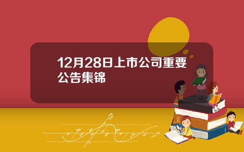 12月28日上市公司重要公告集锦