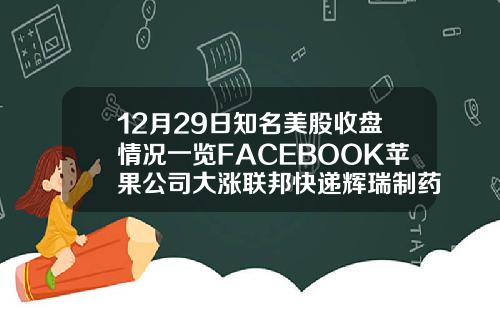 12月29日知名美股收盘情况一览FACEBOOK苹果公司大涨联邦快递辉瑞制药收跌