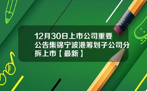 12月30日上市公司重要公告集锦宁波港筹划子公司分拆上市【最新】