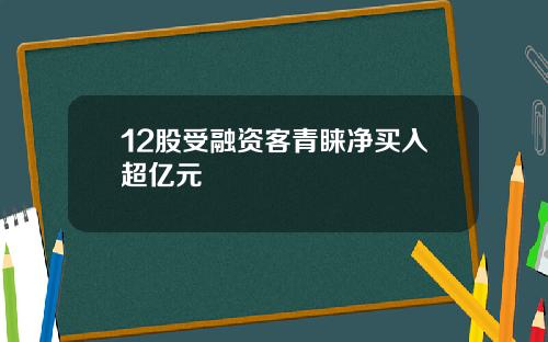 12股受融资客青睐净买入超亿元