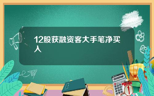 12股获融资客大手笔净买入