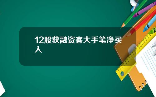 12股获融资客大手笔净买入