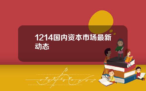 1214国内资本市场最新动态