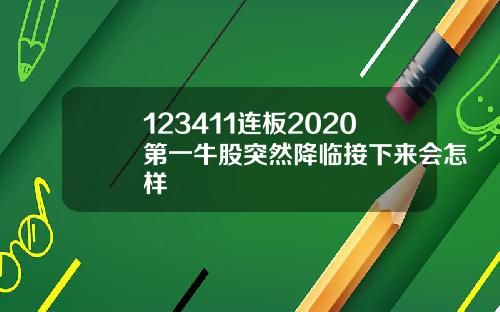 123411连板2020第一牛股突然降临接下来会怎样