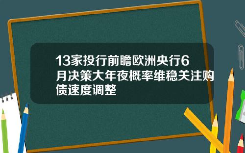 13家投行前瞻欧洲央行6月决策大年夜概率维稳关注购债速度调整