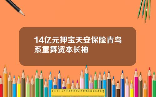 14亿元押宝天安保险青鸟系重舞资本长袖