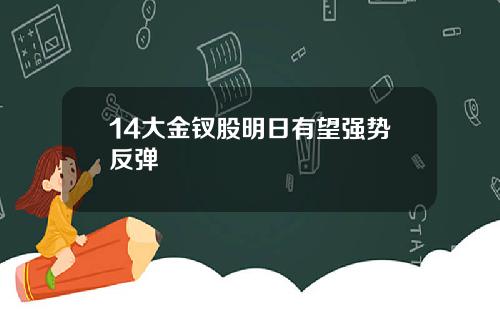 14大金钗股明日有望强势反弹