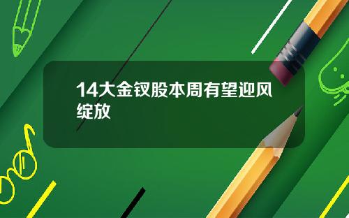 14大金钗股本周有望迎风绽放