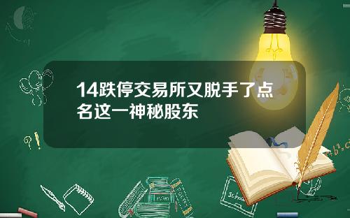 14跌停交易所又脱手了点名这一神秘股东