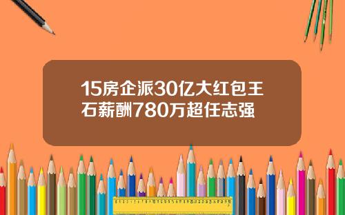 15房企派30亿大红包王石薪酬780万超任志强