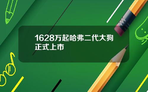 1628万起哈弗二代大狗正式上市