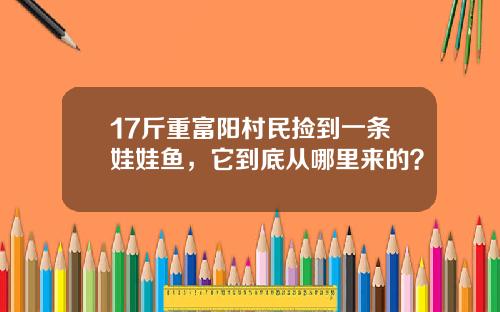 17斤重富阳村民捡到一条娃娃鱼，它到底从哪里来的？