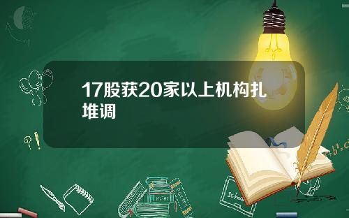 17股获20家以上机构扎堆调