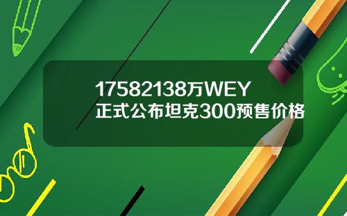 17582138万WEY正式公布坦克300预售价格